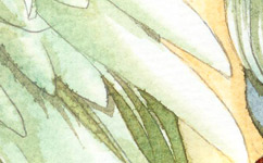 印刷如何選紙？印刷廠如何辨別印刷紙張好壞？